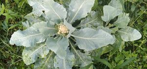 29312 environmentclub19.jpeg