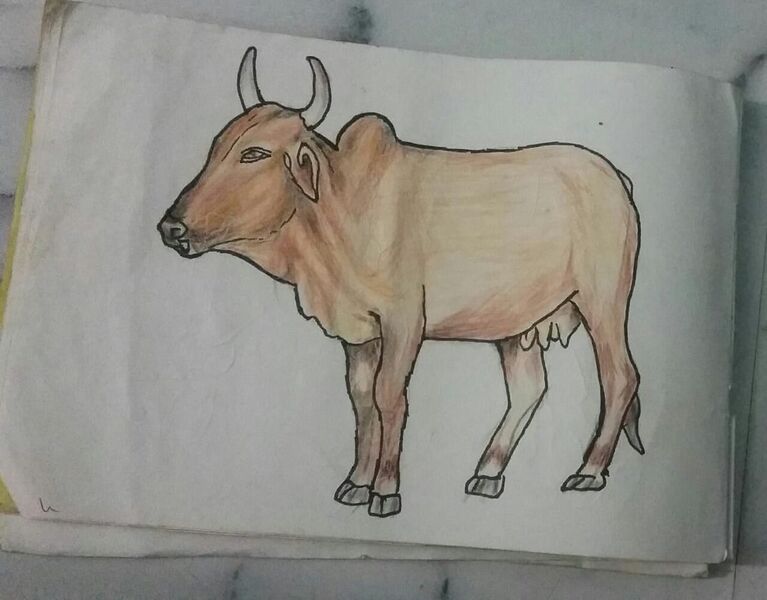 പ്രമാണം:36053 arjun13.jpeg