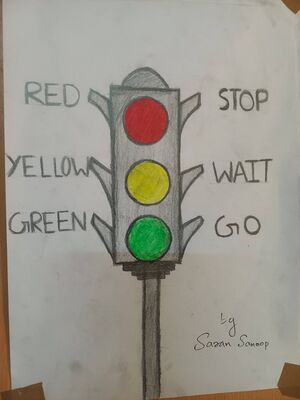 38633-PTA-SARAN SANOOP.jpeg