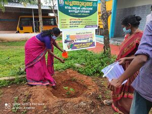 44028 ente gramam.jpg