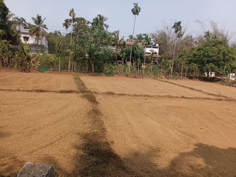 പ്രമാണം:47461-Paddy fields.jpeg