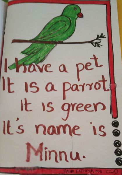 പ്രമാണം:Amil Sebin.jpg