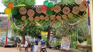 BS21 MLP 18010 5.jpg