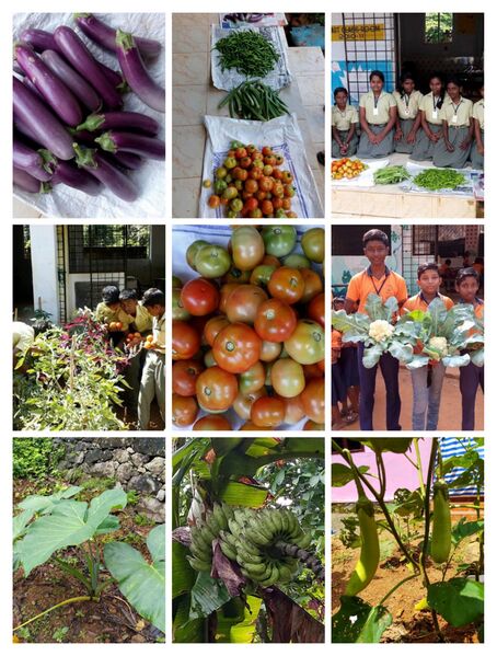 പ്രമാണം:Krishi (2.jpg