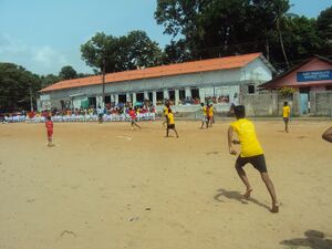 Mifacup 14 35052 (3).JPG