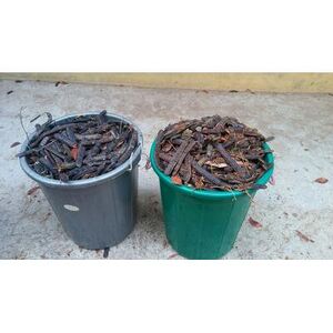 SEED TP PANCHAYATH15.jpg