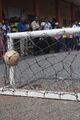 20:43, 20 ജൂൺ 2026-ലെ പതിപ്പിന്റെ ലഘുചിത്രം