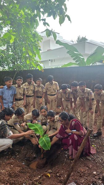 പ്രമാണം:13039 ec1.jpg