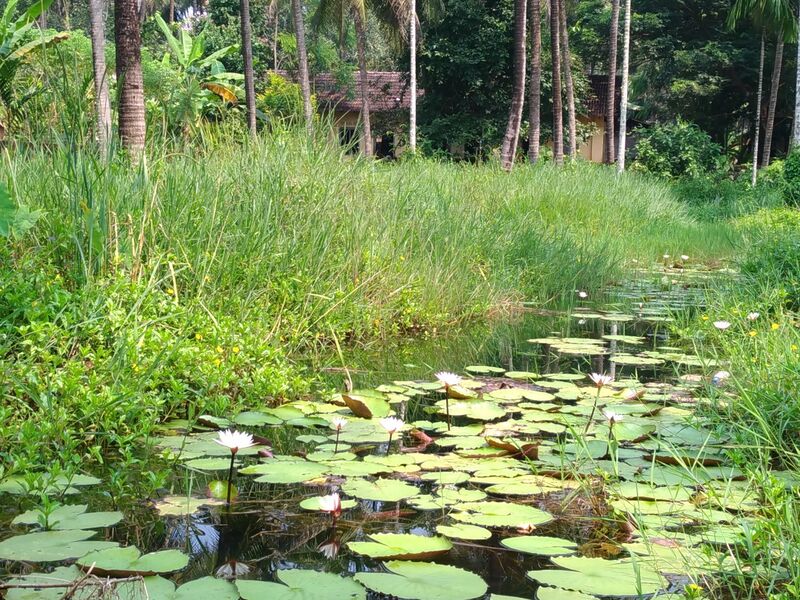 പ്രമാണം:14511 193.jpeg