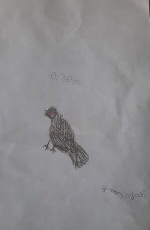 15078- WYD- KUNJ-ARUHSH.Jpg