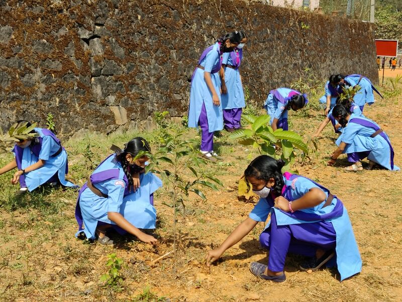 പ്രമാണം:15462 4Guides.resized.jpg