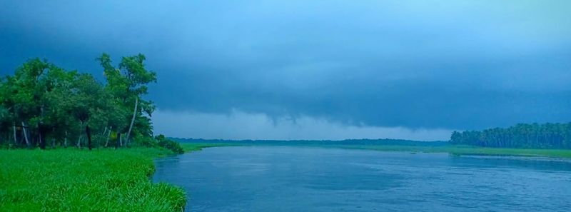 പ്രമാണം:19051 tar2.jpg