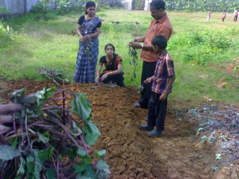 പ്രമാണം:19833 krishi 111.jpg