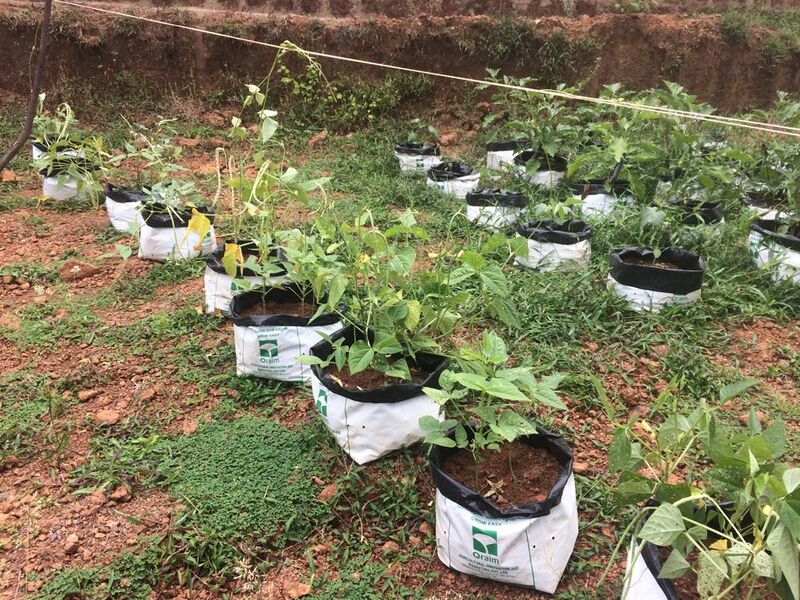 പ്രമാണം:19852-36 (5).jpg