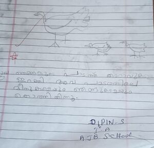 20227-PKD-KUNJ-DIPIN 1 A.jpeg