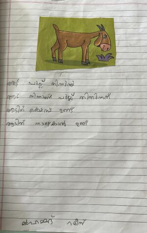 26069-EKM-KUNJ-MUHAMMED RAMEEZ(1).jpg