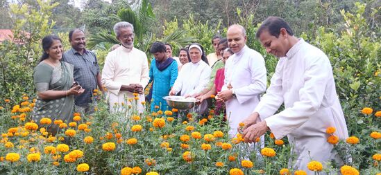 പൂന്തോട്ടകൃഷി; വിളവെടുപ്പ്