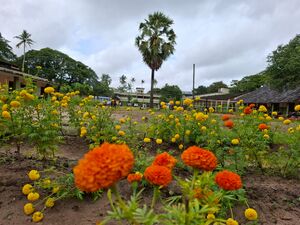 34024 karshikolsavam1.jpg