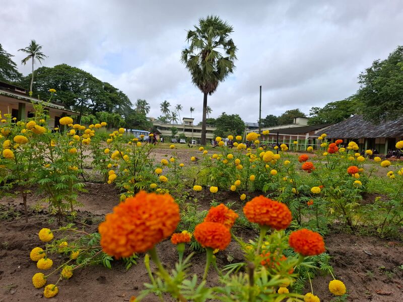 പ്രമാണം:34024 karshikolsavam1.jpg