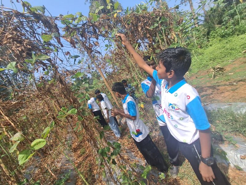 പ്രമാണം:38099 AGRI26.jpg