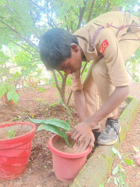 പ്രമാണം:38102 NCC P3.jpg