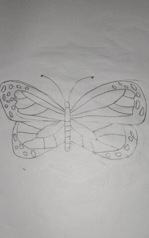 44055 butterfly112.jpeg