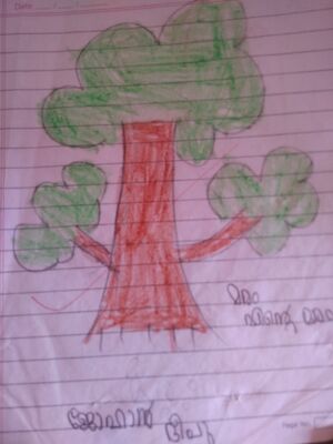 45353-KTM-KUNJ-JOHAN DEEPU.jpg