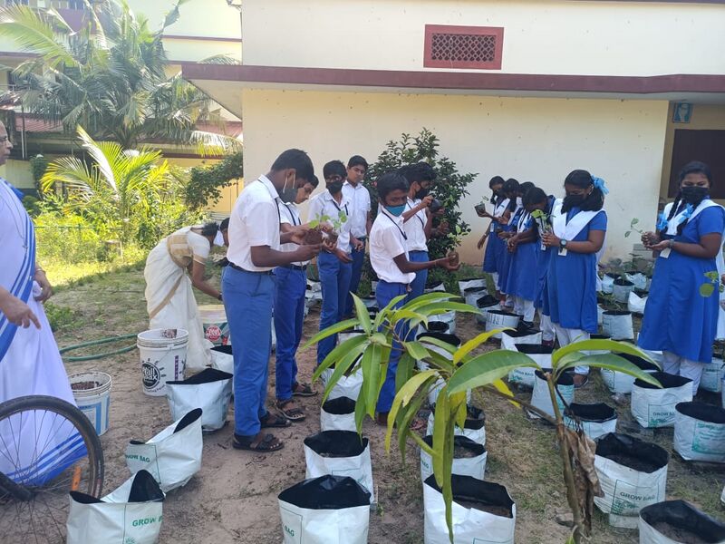 പ്രമാണം:Chingam1 35052 22 (1).jpeg