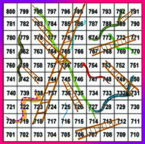 Snake 701 to800 copy.jpg