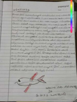 15055-WYD KUNJ Elana k Baiju 4.resized.jpeg