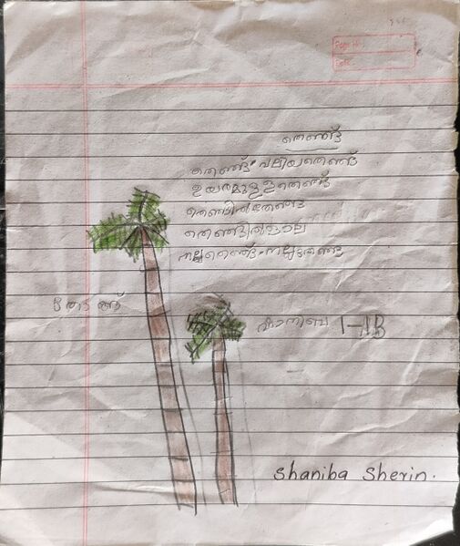 പ്രമാണം:19608-MLP-KUNJ-SHANIBA SHERIN.jpg