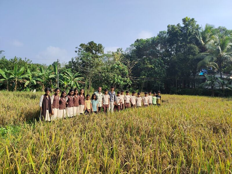 പ്രമാണം:21888 field.jpeg