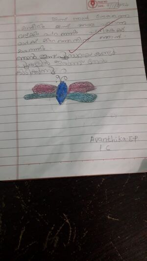 22637TSR - KUNG AVANTHIKA 1 C.jpg