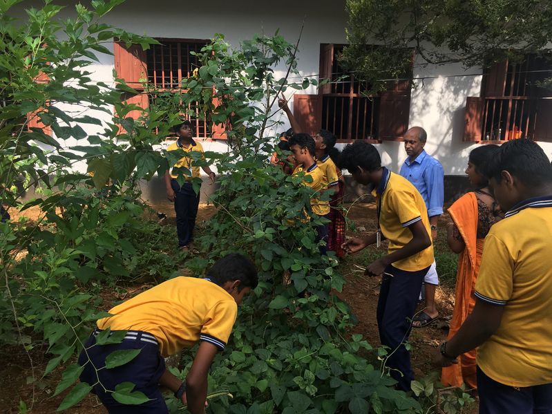 പ്രമാണം:28026 722.JPG