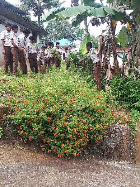 പ്രമാണം:32020 butterfly g 02.jpg