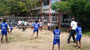 34010-volleyball.jpg