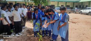 34024 guiding tree planting.jpg