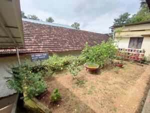 38047 school garden.jpg