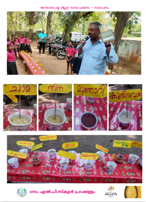 41409 Millet year2023 3.png