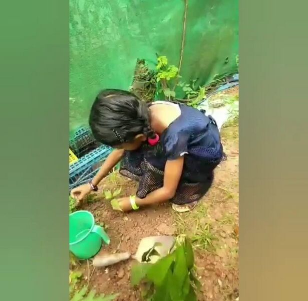 പ്രമാണം:44050 22 6 31.jpeg