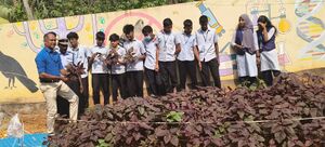 Cheera krishi february 2026.jpg