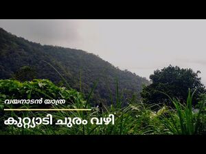 ENTE GRAMAM KUTTIADI.jpg