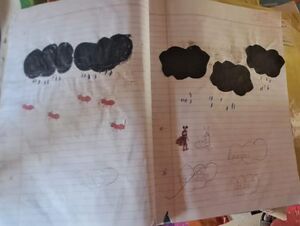 Ghs 46067 Iga .s std 1.jpeg