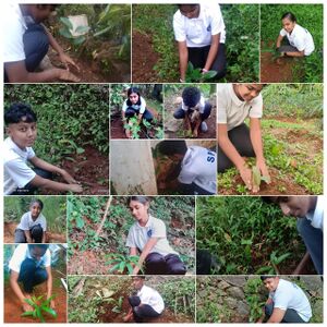 WhatsApp Image 2025-06-04 at 8.26.50 PM.jpeg