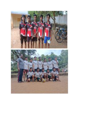 Wollyball page-0001.jpg