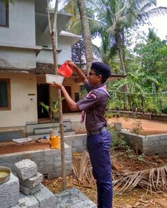 സ്കൗട്ട് & ഗൈഡ്സ് വിദ്യാർത്ഥികൾ വീടുകളിൽ പറവകൾക്കായി കുടിവെള്ള പാത്രങ്ങൾ സ്ഥാപിച്ചു.