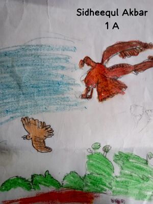 19845-mlp-kunj-sideequl akbar.jpeg