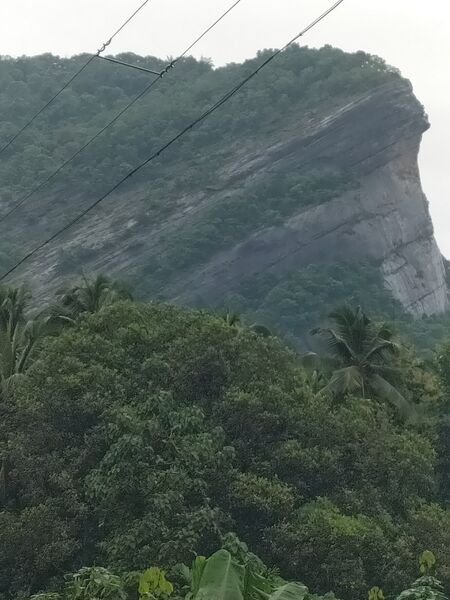 പ്രമാണം:21833 Nature.jpg