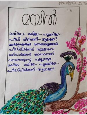 23301-TSR-KUNJ-IVA MARIYA JIFFIN.jpeg