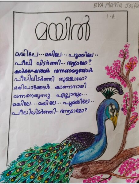 പ്രമാണം:23301-TSR-KUNJ-IVA MARIYA JIFFIN.jpeg